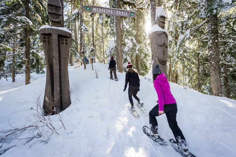 Snowshoers crossing fresh snow