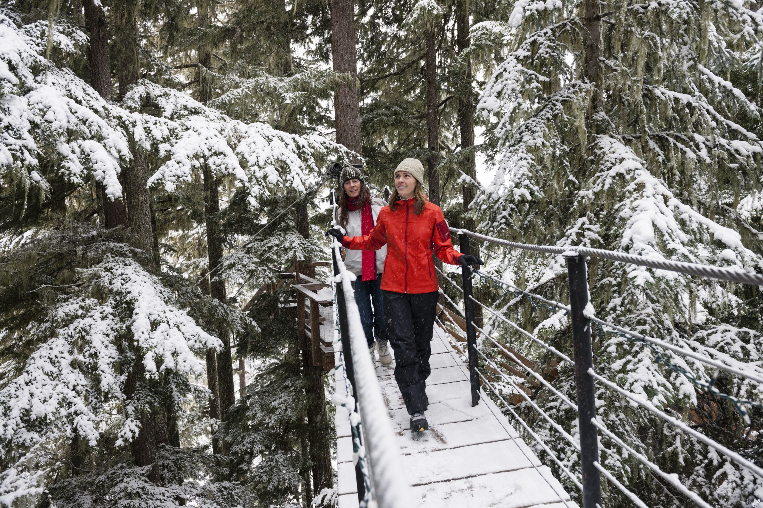 A snow-laden pine forest in a Canadian winter