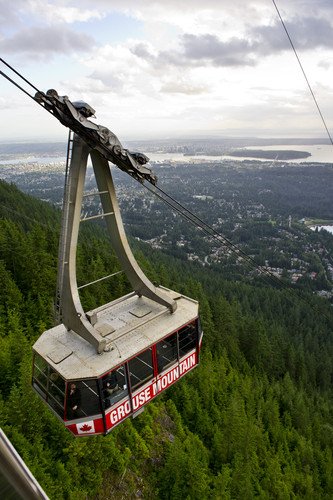The Grouse Mountain aerial tram above the forest